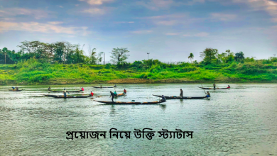 প্রয়োজন নিয়ে উক্তি স্ট্যাটাস