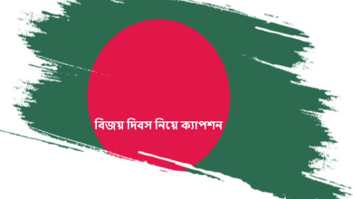 বিজয় দিবস নিয়ে ক্যাপশন