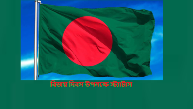 বিজয় দিবসের ফেসবুক স্ট্যাটাস