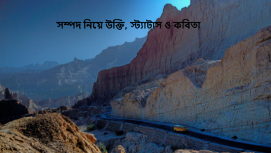 সম্পদ নিয়ে উক্তি, স্ট্যাটাস ও কবিতা