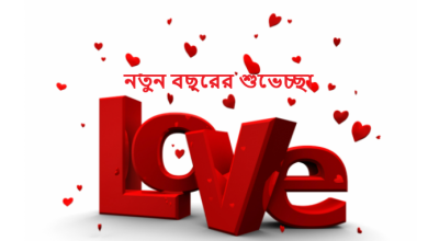 ভালোবাসার মানুষকে নতুন বছরের শুভেচ্ছা