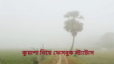 কুয়াশা নিয়ে ফেসবুক স্ট্যাটাস