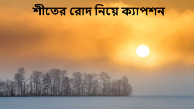 শীতের রোদ নিয়ে ক্যাপশন