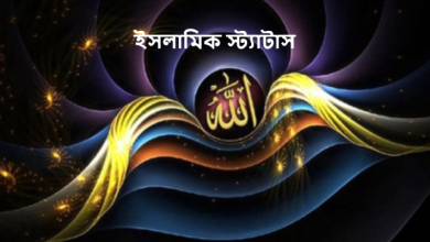 ইসলামিক স্ট্যাটাস