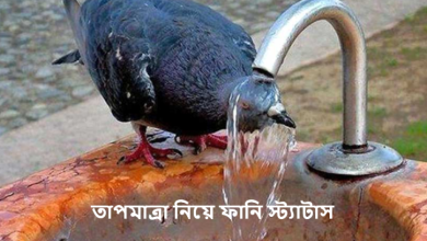 তাপমাত্রা নিয়ে ফানি স্ট্যাটাস