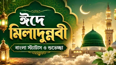 ঈদে মিলাদুন্নবী স্ট্যাটাস ও শুভেচ্ছা.png