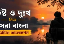 কষ্ট ও দুঃখ নিয়ে বাংলা স্ট্যাটাস.png