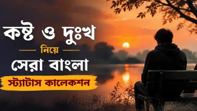 কষ্ট ও দুঃখ নিয়ে বাংলা স্ট্যাটাস.png