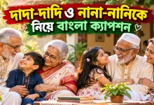 দাদা-দাদি ও নানা-নানি.png